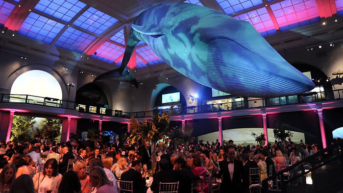 Mazu Foundation of America events