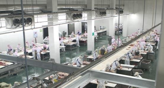 Yaming Food Co., Ltd.