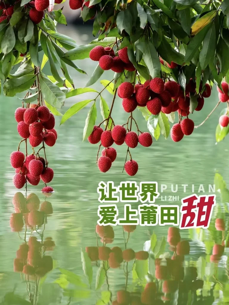 Lychee mirror reflection