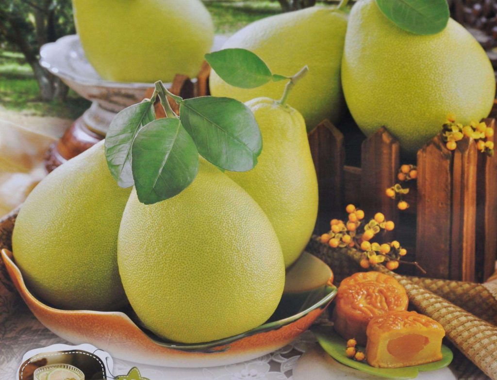 Putian - Duwei Wendan Pomelo