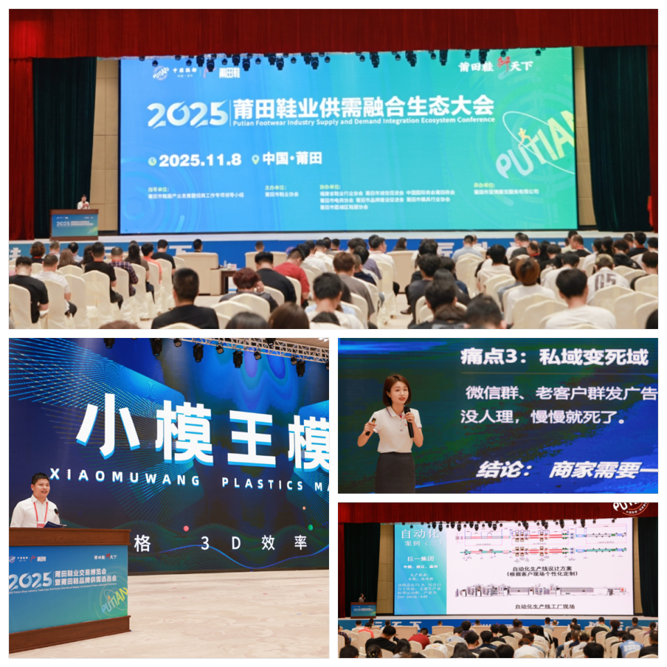 Putian Footwear Supply and Demand Integration Ecological Conference