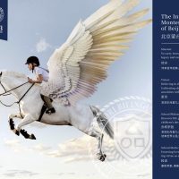 Beijing Montessori International School